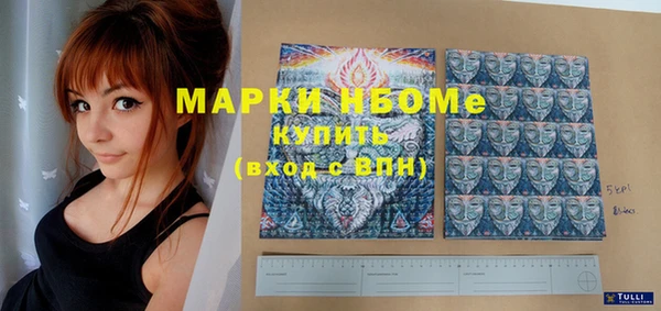 хмурый Болхов