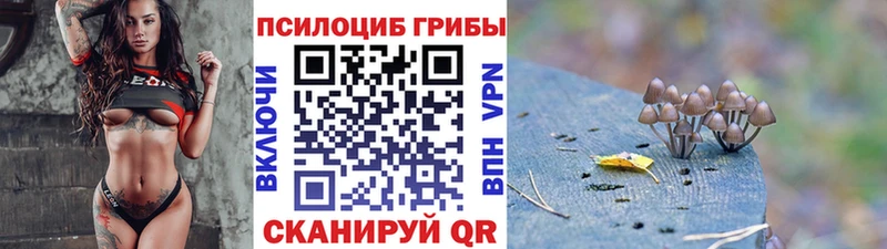 Псилоцибиновые грибы мицелий где купить наркоту Дрезна